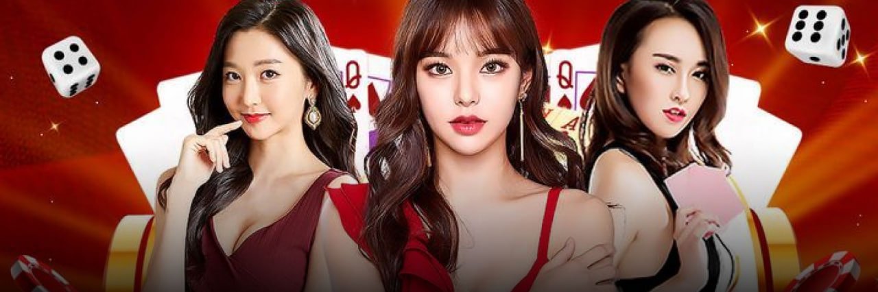 hi1333 chính sách bảo mật an toàn